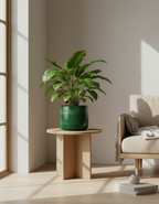 Maceta Industrial de Metal Verde Oscuro